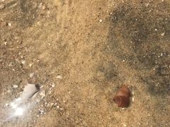 -六鳌翡翠湾滨海度假景区