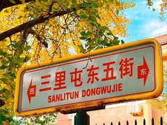 -三里屯东五街银杏大道