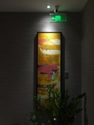 -苑苑vbeauty科技美容SPA