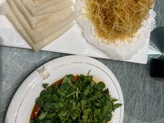 -丁老爷子苏香圆