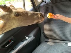 -秦皇岛野生动物园