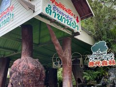 -绿光森林餐厅