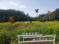 -雀儿山公园