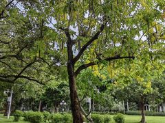-荔枝公园(福田区)