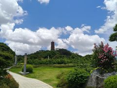 -红花山公园
