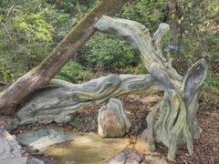 -大青沟风景区