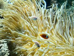 -鹿儿岛水族馆
