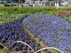 -玄武湖景区-情侣园游乐场