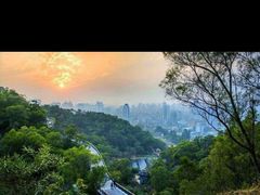-金鸡山公园