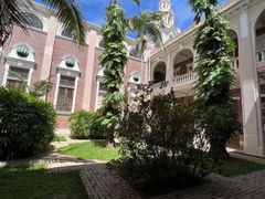 -香港大学