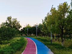 -绿堤公园