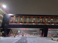 -谢列梅捷沃国际机场