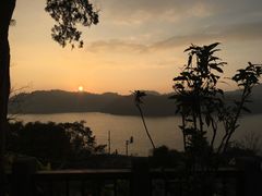 -金盆阿嬷香菇茶叶蛋(玄光店)