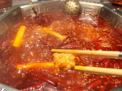 -蜀九香火锅(九眼桥店)