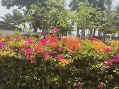 -石梅湾艾美度假酒店