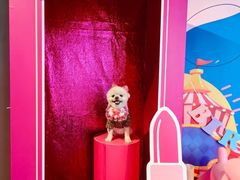 -百好乐宠物友好餐厅(朝外大街店)