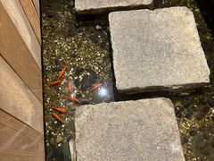 -邈墨茶馆(凤起路店)