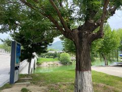 -函谷关历史文化旅游区