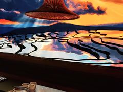 -云海肴云南菜·蒸汽石锅鱼(青岛万象城店)