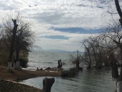 -捞渔河湿地公园