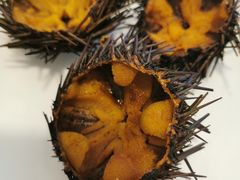 -海胆小馆(东北水饺·春柳店)