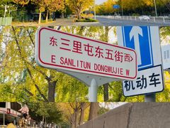 -三里屯东五街银杏大道