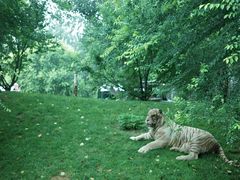 -北京野生动物园