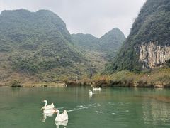 -靖西鹅泉风景区