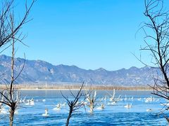 -野鸭湖国家湿地公园