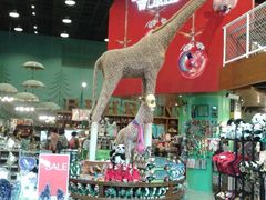 -Behring World of Animals(上海自然博物馆店)
