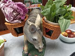 -慢丽江·云南野生菌土鸡锅(付家庄店)