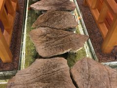 -花枝日本料理(金沟河店)