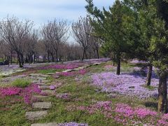 -南通洲际绿博园