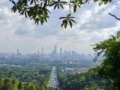 -火炉山森林公园