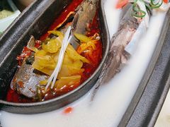 退秋鱼（一条）-锦府盐帮·李宅(领展购物广场中关村店)
