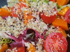 Famous考伯沙拉-Famous肥猫墨西哥音乐餐吧(五棵松华熙LIVE店)