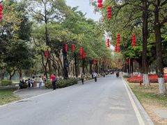 -海珠湖公园