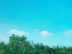 -映月湖中央公园