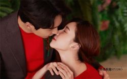 怀旧复古-巴黎婚纱摄影工作室