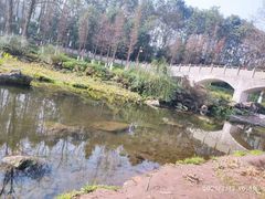 -重庆彩云湖湿地公园