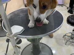 -乐宠宠物店(世纪金源店)