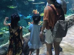 -华夏文旅海洋公园