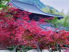 -兰亭风景区