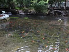 -水磨沟公园