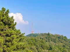 -惠山国家森林公园