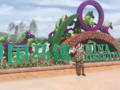 -中国马镇舞马世界主题乐园