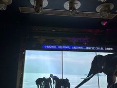 -温莎KTV(珠江路店)