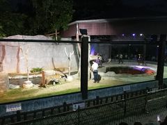 -清迈夜间动物园