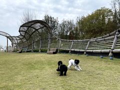 -中国天府农业博览园