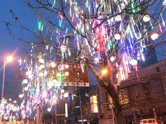 -芦庄子桂顺斋(和平路总店)